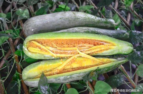 娱乐网红热点吃瓜,娱乐圈幕后真相曝光