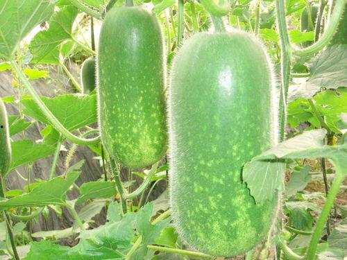 娱乐园八卦吃瓜大全,揭秘明星幕后故事