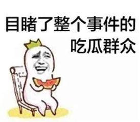 娱乐吃瓜酱文字的力量,揭秘娱乐圈背后的秘密与八卦风云